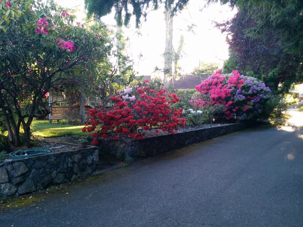 Salty Towers Ocean Front Cottages Sooke Exterior photo